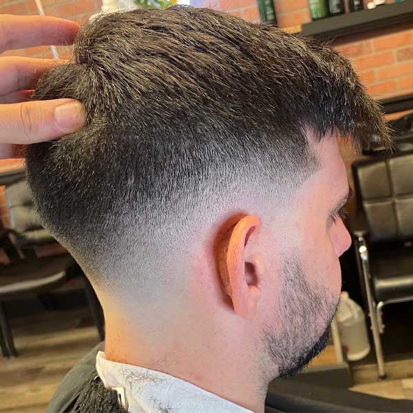 alfanis barbershop 2450